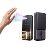 Veno Solar Palm — Coming Soon